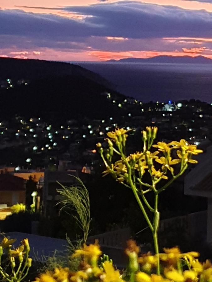 Stergiou Luxury Apartments With Shared Pool Anavyssos Exterior foto